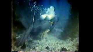 underwater fight