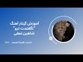 آموزش گیتار آهنگ نگفتمت نرو از شاهین نجفی 