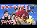 【ポケモンGO】赤ギャラドス!大阪城公園に金コイ出たー!!!【進化】