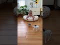 Xiaobao's Playtime with Mala Mill: A Kid's Delight