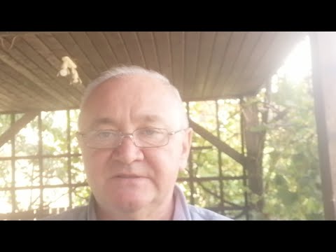 Органы Пищеварения