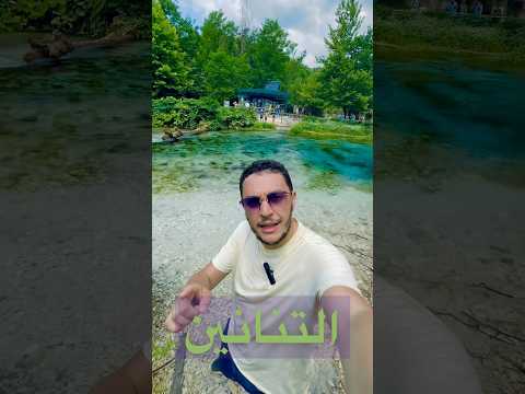 دي مش مجرد مية دي دموع تنين من آلاف السنين مستعد تغوص في الأسطورة