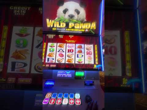 Bienvenido a la casa de la diversión: Winpot Casino Playa del Carmen