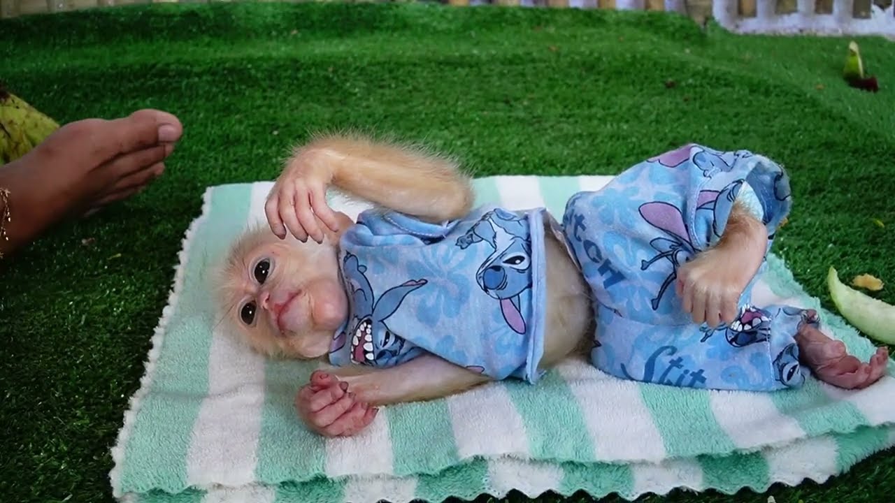 Very Tried Jooy No Have Power Sleep Well Soon Old Brother Ploy See Mom Take Care He Jealous