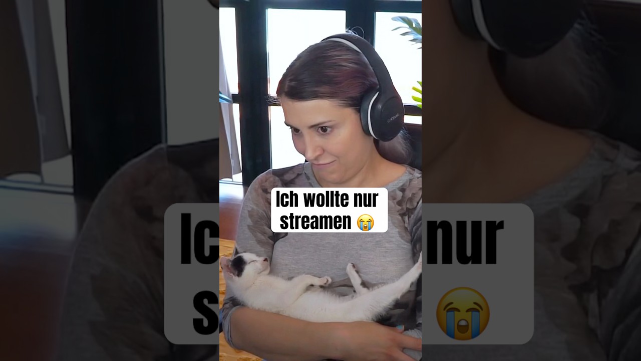 Kuschel-Fail mit Kitten 😹 Live auf Twitch! ✨ 