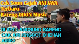 Download Lagu Cek Sound Perdana Ani Jaya Audio. Titisan Dhehan Audio Madiun Cak Ari Jenggot langsung Turun Sendiri MP3