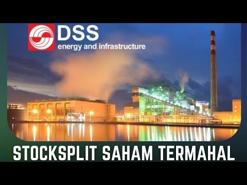 Harga Saham DSSA: Naik Turun, Siap Tembus Rekor Lagi?