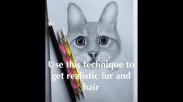 How to draw fur using indentation technique? Step by step tutorial | Animal art | Cat | AJ