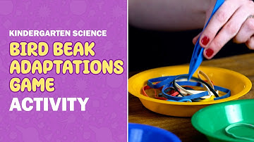 Bird Beak Adaptations Game 🐦‍⬛ Fun Science with Ms. Shelley | Kindergarten Grade NGSS