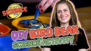 Bird Beak Adaptations Game For Kindergarten Science | Ms. Shelley's Science Show | NGSS