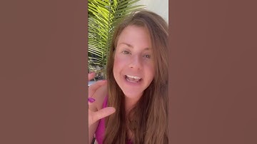 Let KO take care of your phone calls!