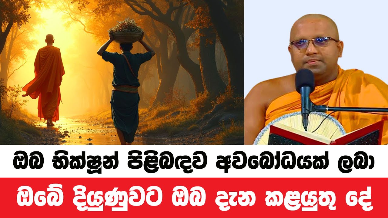 ඔබ භික්ෂූන් පිළිබඳ අවබෝධය ලබා ඔබේ දියුණුවට කළයුතු දේ | Kelaniye Sasanawansa Thero | Dharmadeshana 14