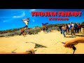 Offline flydjinn with friends  artevento 2023  cervia italy  djinn by kite forge