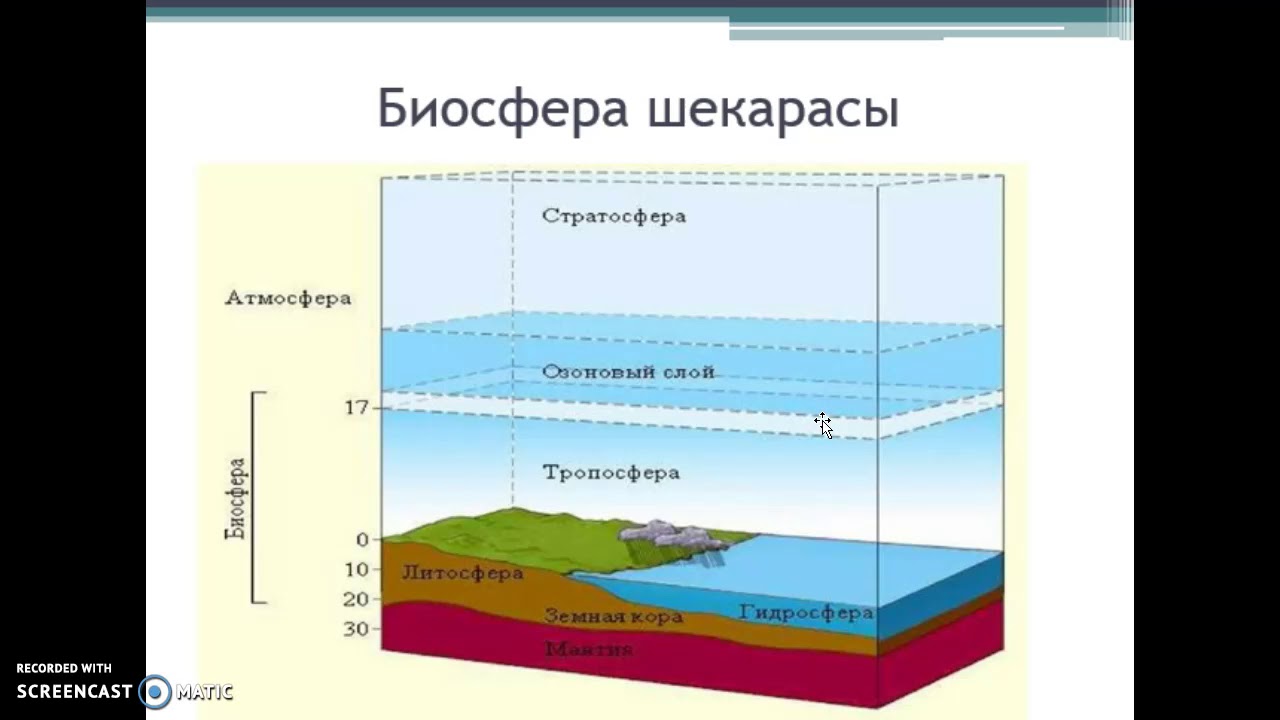 Каковы границы географической оболочки кратко