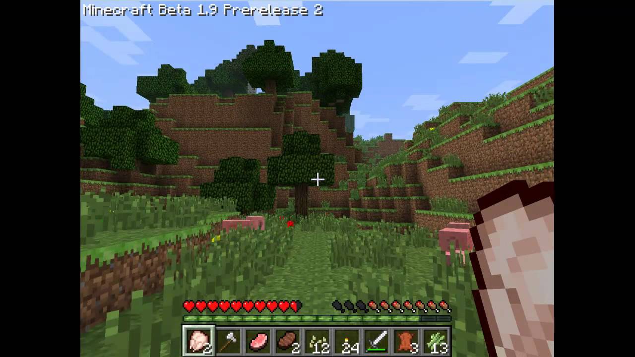 Minecraft - Requesting ideas