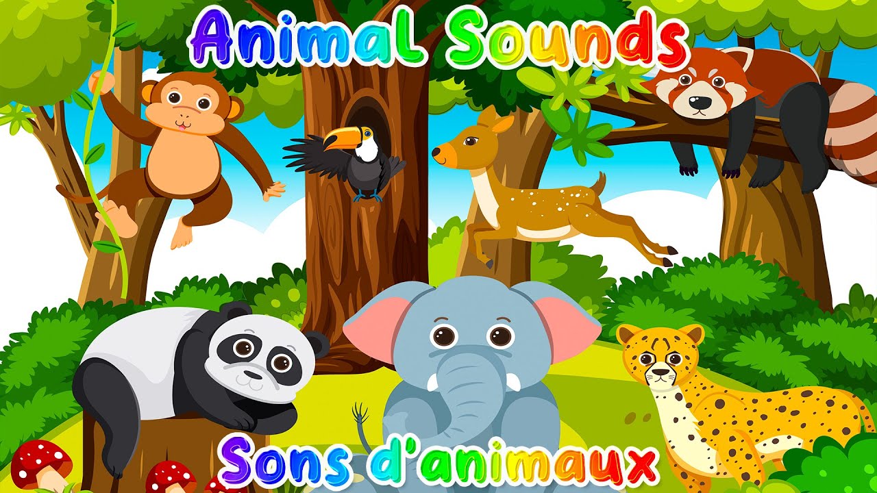 Wild animals Sounds Noises of Crocodile Lion Tiger Monkey Cheetah