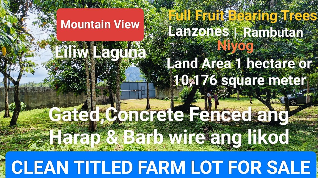 #Vlog298 FARM LOT CLEAN TITLED 1 HECTARE FOR SALE | GATED & in FRONT CONCRETE FENCED | ❗SOLD❗