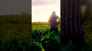 The Third Beatitude | Blessed Are the Meek Explained | Catholic Meaning #catholic #beatitudes