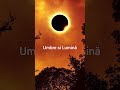 Dima Shou - Umbre si Lumină