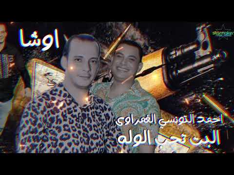 احمد التونسي الغمراوي اوشا مصر 2023 البت تحب الوله