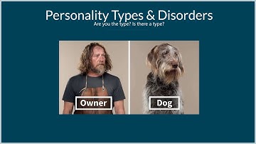 How To Succeed In Trading by Peter Davies