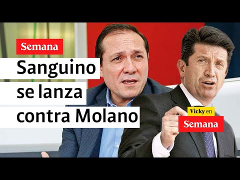 Debate es contra Diego Molano, no contra las Fuerzas Miltares': Sanguino