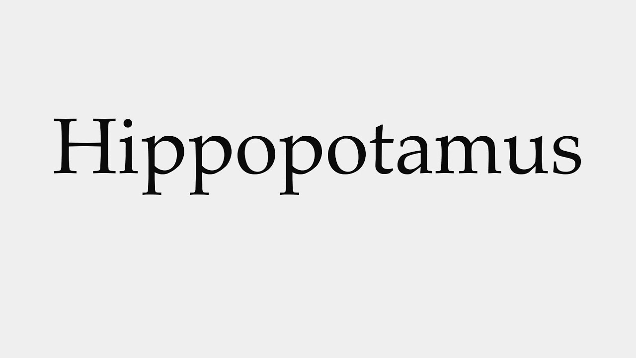 How To Pronounce Hippopotamus YouTube