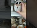 THRIFT WITH ME! #VIRAL #SHORTS #THRIFT #thriftflip