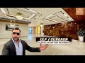Ultra luxury 500 sq yards  gurgaon builder floor  dlf phase 12