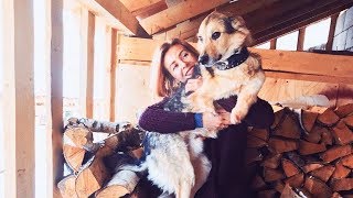 Фотограф переехала из Москвы в деревню и создала приют для собак Фотограф переехала из Москвы в деревню и создала приют для собак