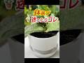 鉢選び🪴迷ったらコレ! #観葉植物 #plants #ダイソー
