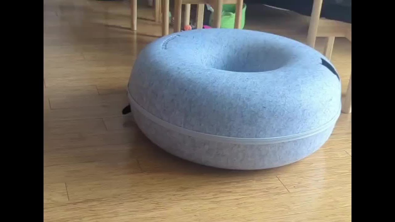 The Great Donut Void Experiment