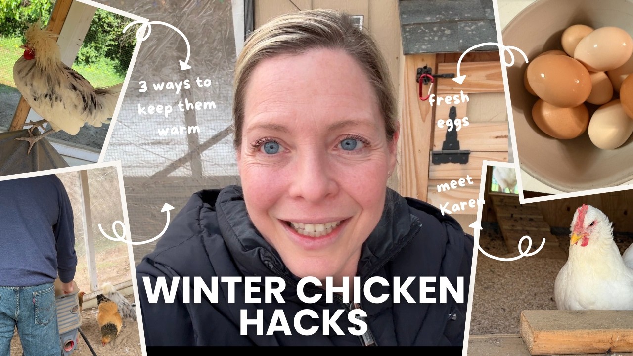 3 Ways We Keep Our Chickens Warm in Winter | Cold Weather Chicken Care Tips
