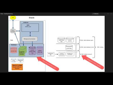 Oracle starting stopping database
