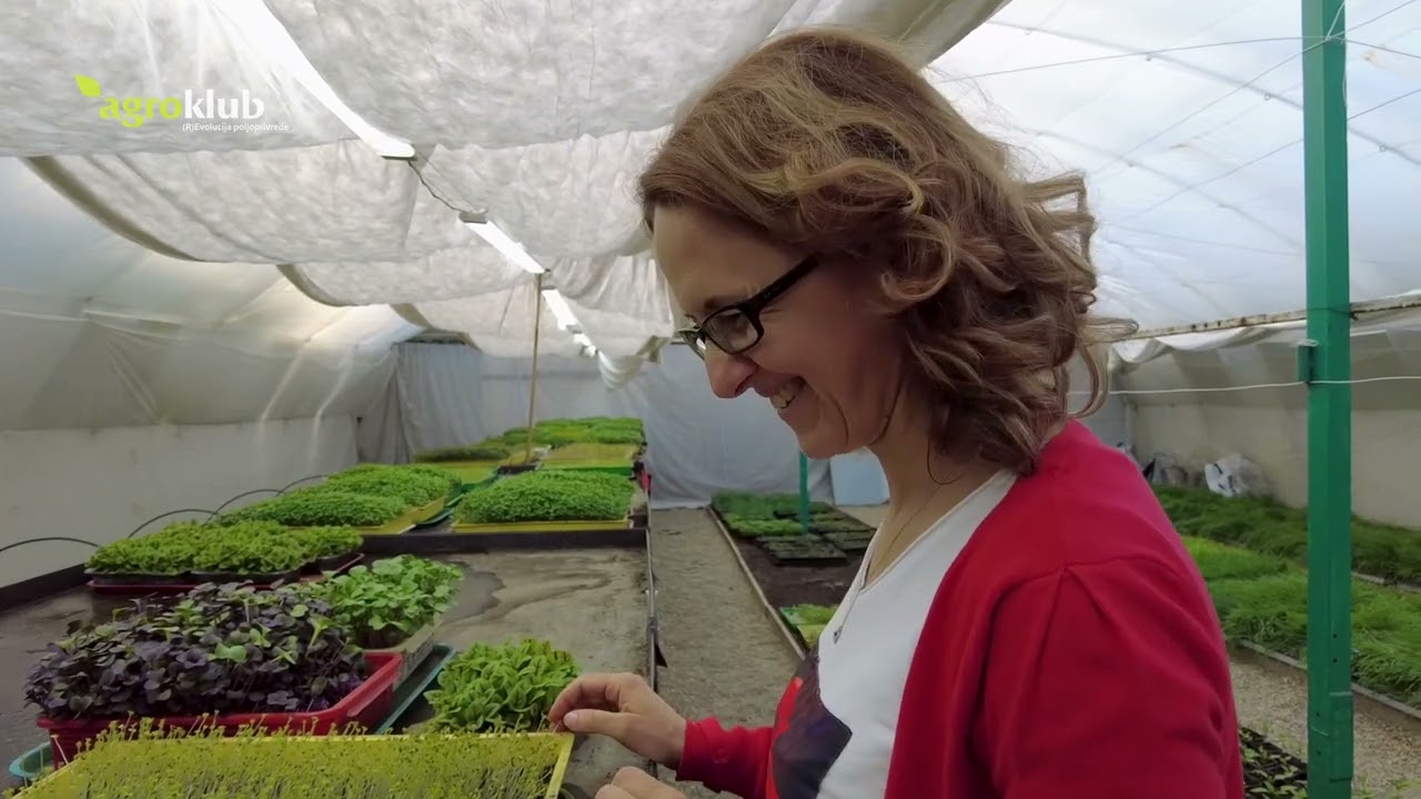 Kako se uzgajaju klice i mikrobilje?