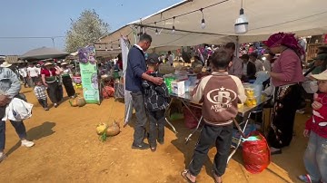 Jade War Camellia Festival Khám phá Lễ hội hoa Sơn trà tại xã Ngọc chiến của tỉnh Sơn La Tây Bắc nha