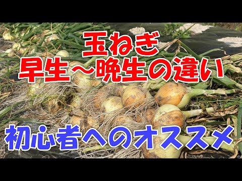 We will plant onions in November, and the growth switch is