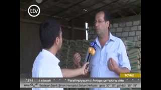 Tovuz Rayon Qovlar Şəhərində Taxta Və Tikinti Materiallarının Qiyməti