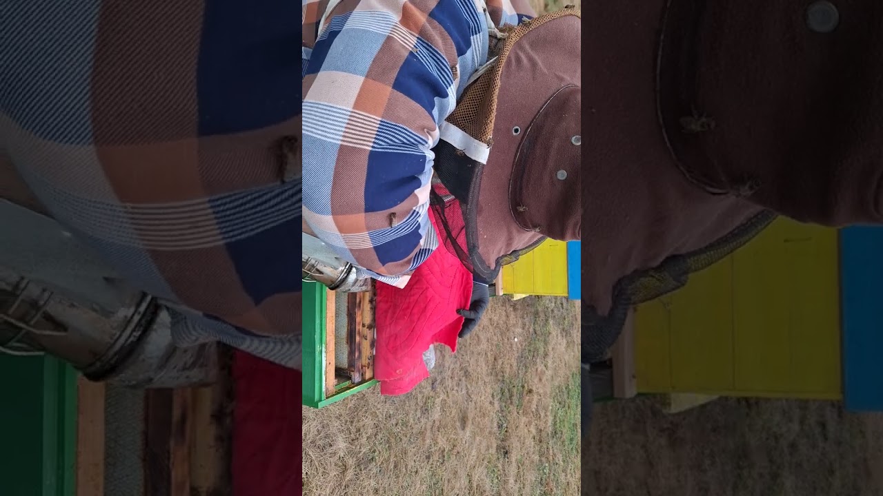 194. 28Ianuarie2026 - Astazi restrangem.