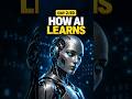 How AI Learns: 3 Steps Explained | Day 2/60