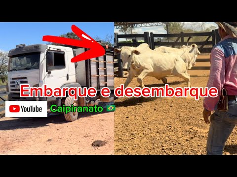 Hoje foi dia de embarque e desembarque!✅