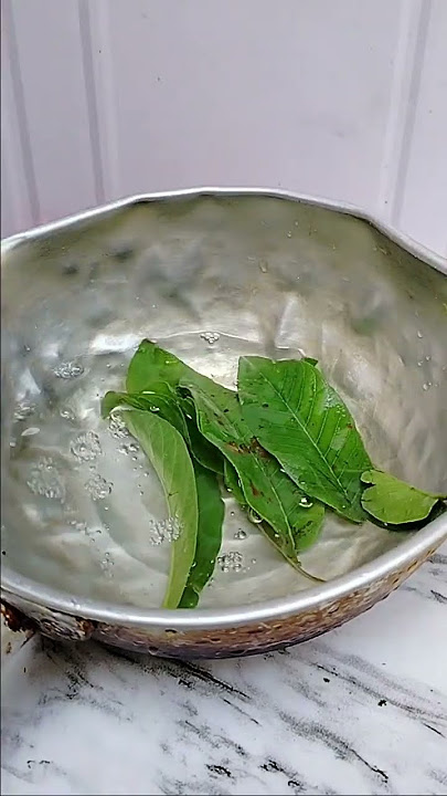 rahasia daun jambu rebus #tips #tipspraktis #lifehack #daunjambu