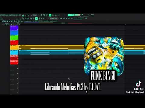 Types of FUNK TONTO/MONTAGEM BEBADO STYLE FUNKS