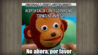 Los Mas Graciosos Memes De Pedro El MONO