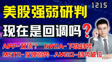 美股多空强弱研判，现在是回调还是反弹结束？tsla app pltr nvda avgo mstr｜ 美股解析 ｜  美股技术分析