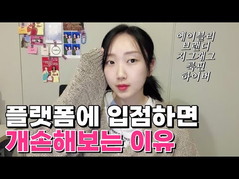 걍 다 말할게요 플랫폼에 입점하면 손해보는 이유 ㅣ 에이블리 지그재그 브랜디 