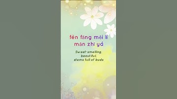 Thumbnail of Mo Li Hua - Jasmine Flower Song with Lyrics and Translation - Chinese Folk Song