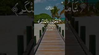 #اكسبلور #foryou #quran #gaming #tiktok #makkah #foryou #facebook #المصحف