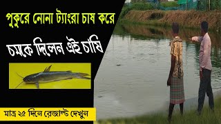 পুকুরে নোনা চাষ করে চমকে দিলেন এই চাষী | Nona Tangra and Vangol Fish Farming in pond