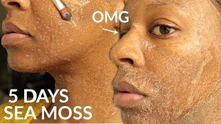 I Used SEA MOSS GEL on My FACE for 5 Days & WOW!! by T'keyah B 1,120,151 views 4 years ago 11 minutes, 41 seconds